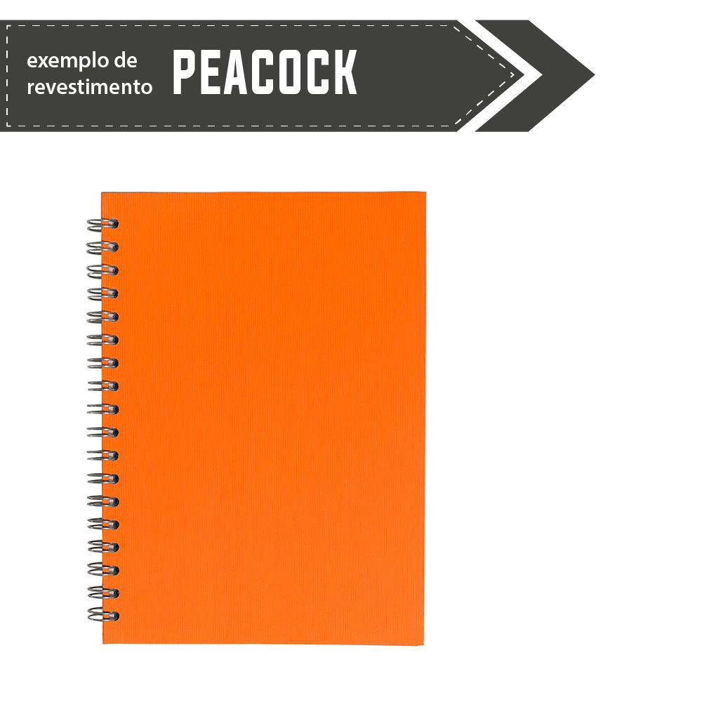 Agenda Belo Planeador Peacock